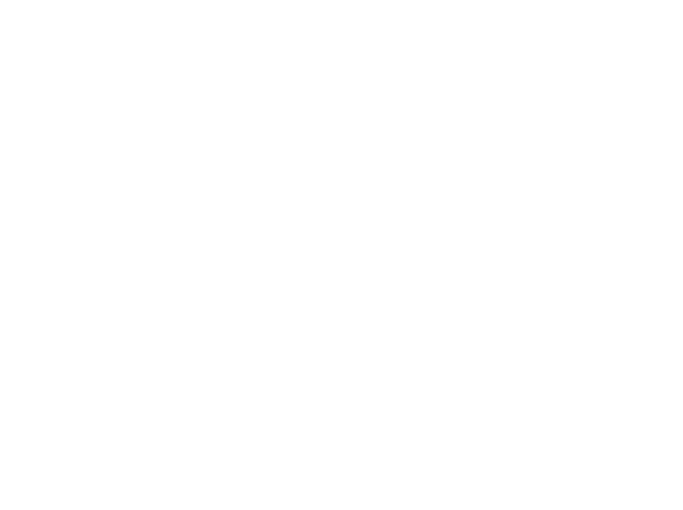 Stinson-logo-white